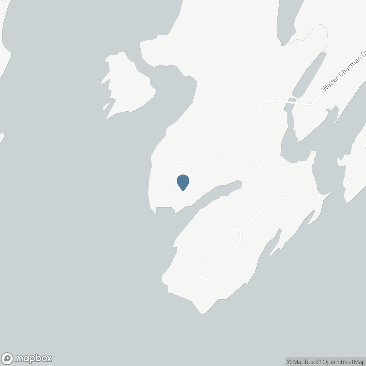 41 BOYDS HARBOUR LOOP, Lion's Head, Ontario N0H 1W0